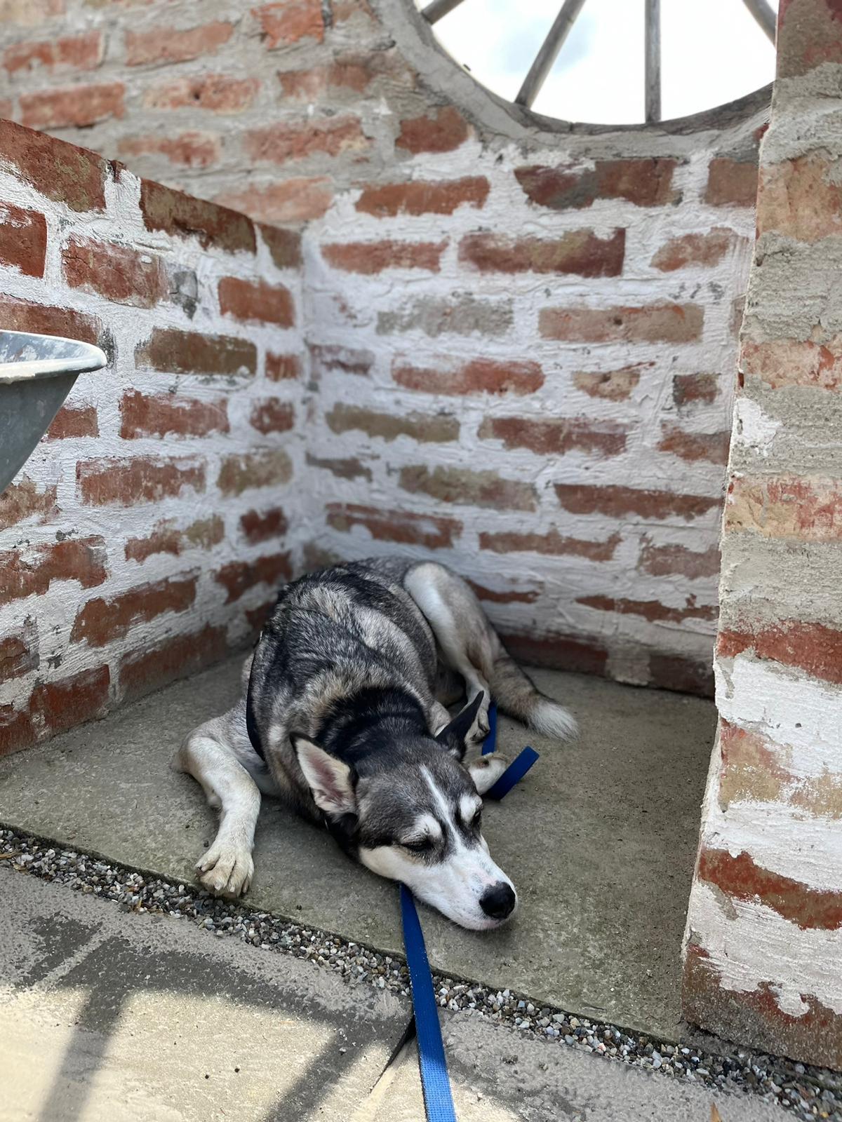 Husko