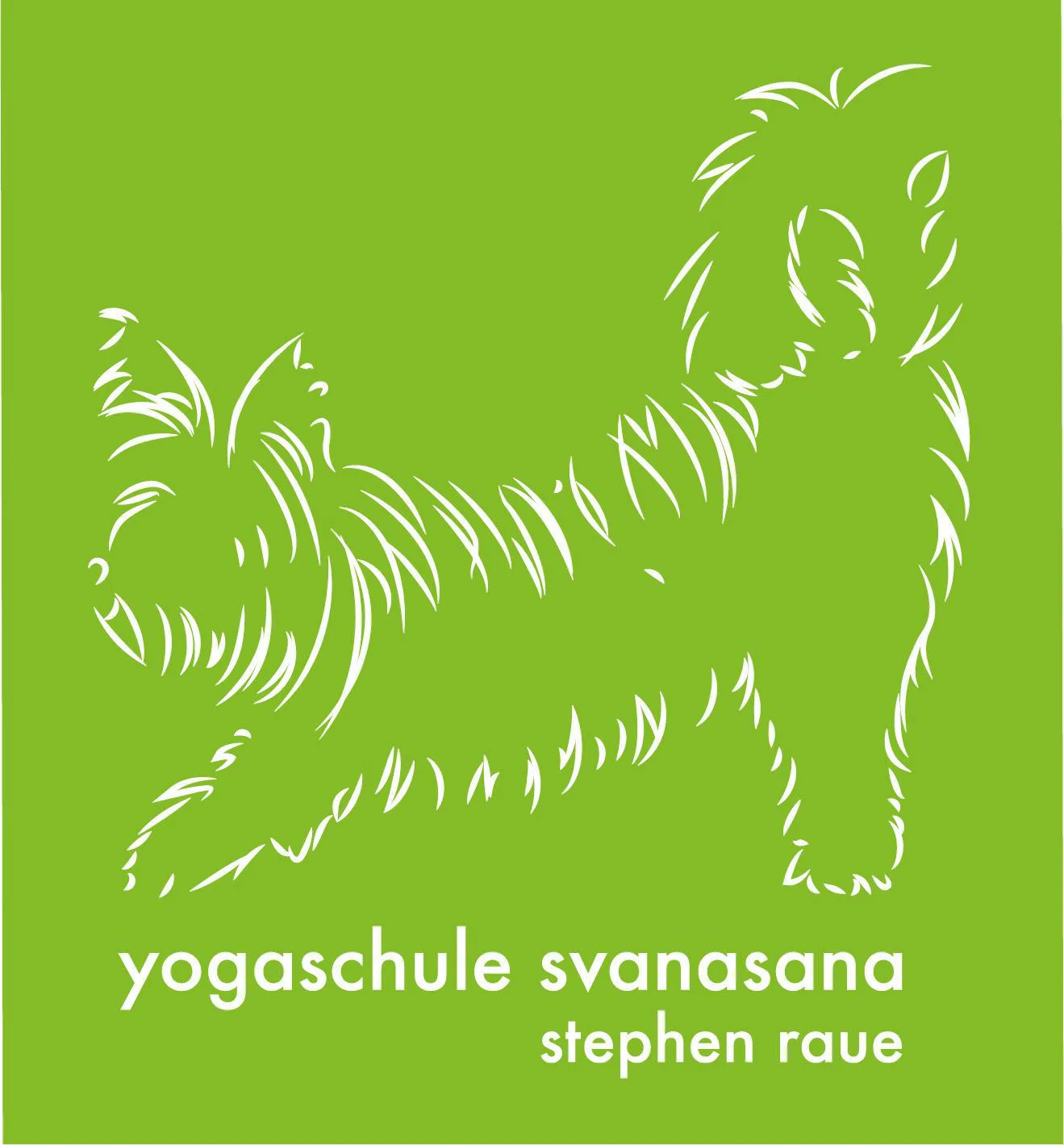 Yogaschule Stephen Raue
