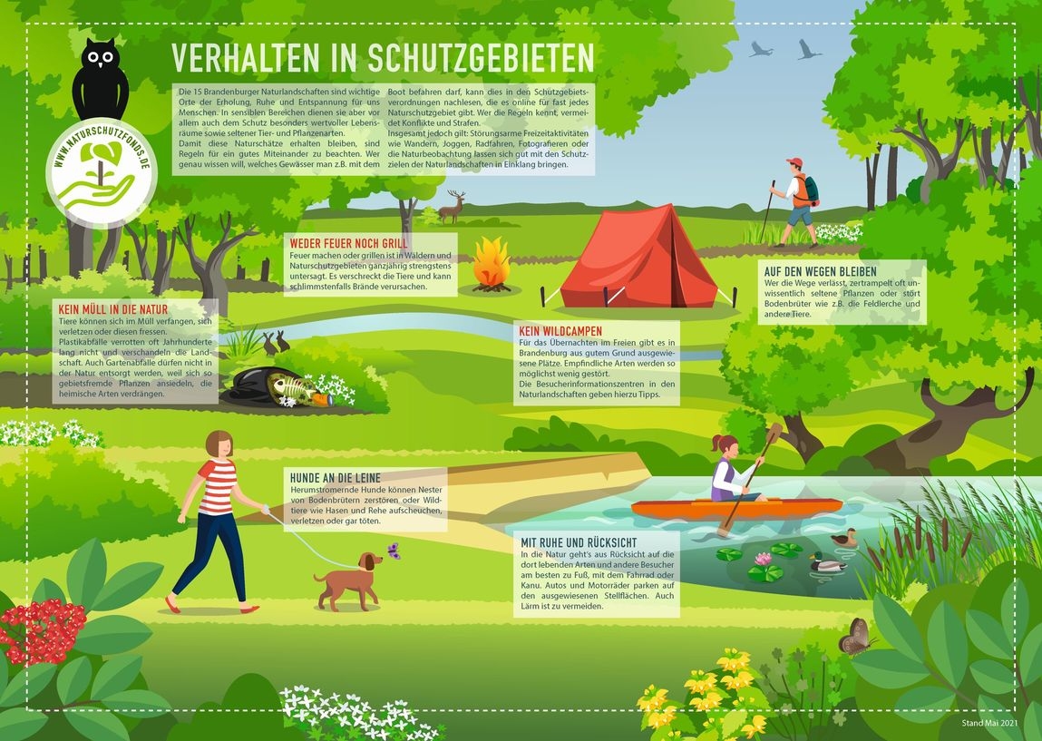 Infografik