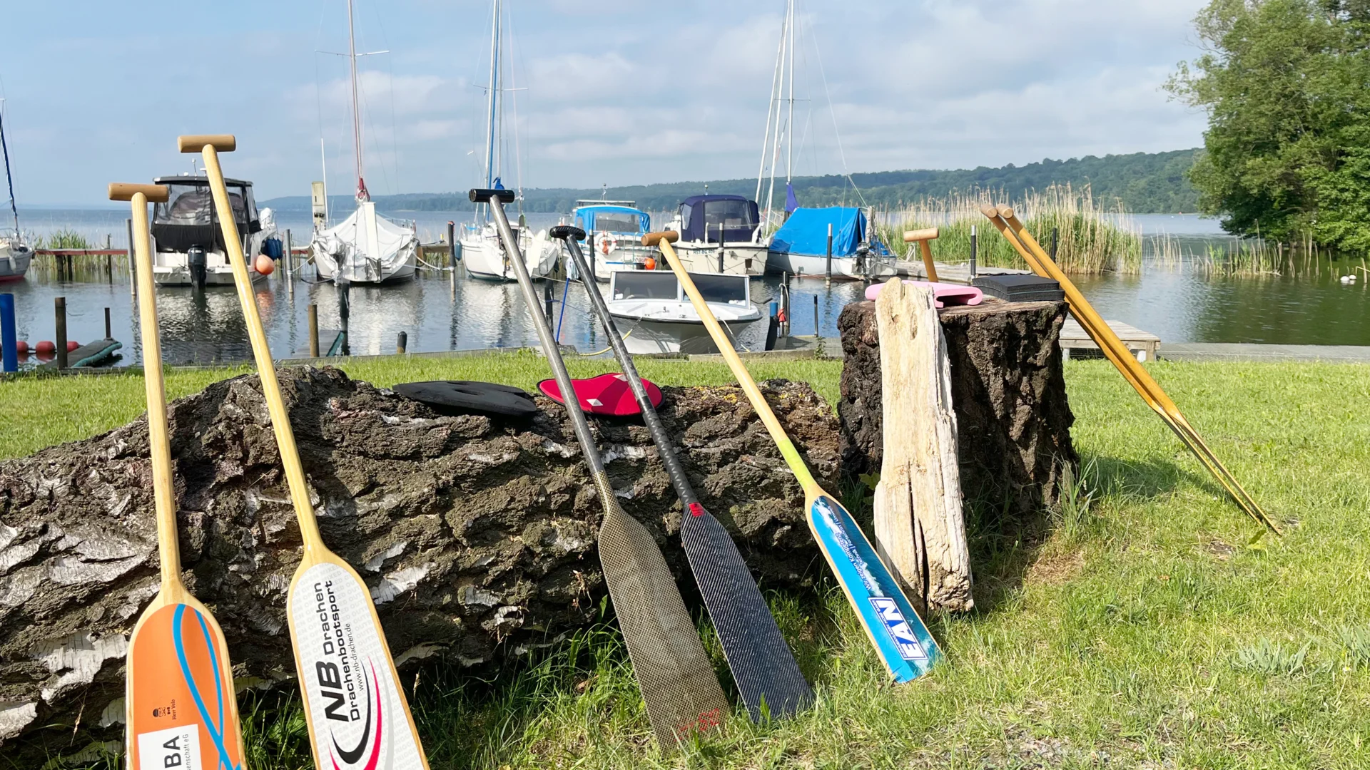 Stilleben mit Paddel_16-9