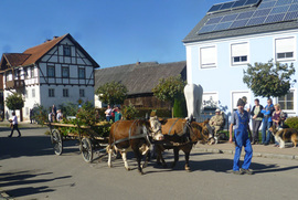 Der Markt Kirchheim