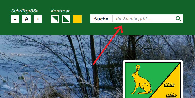 Suchfunktion