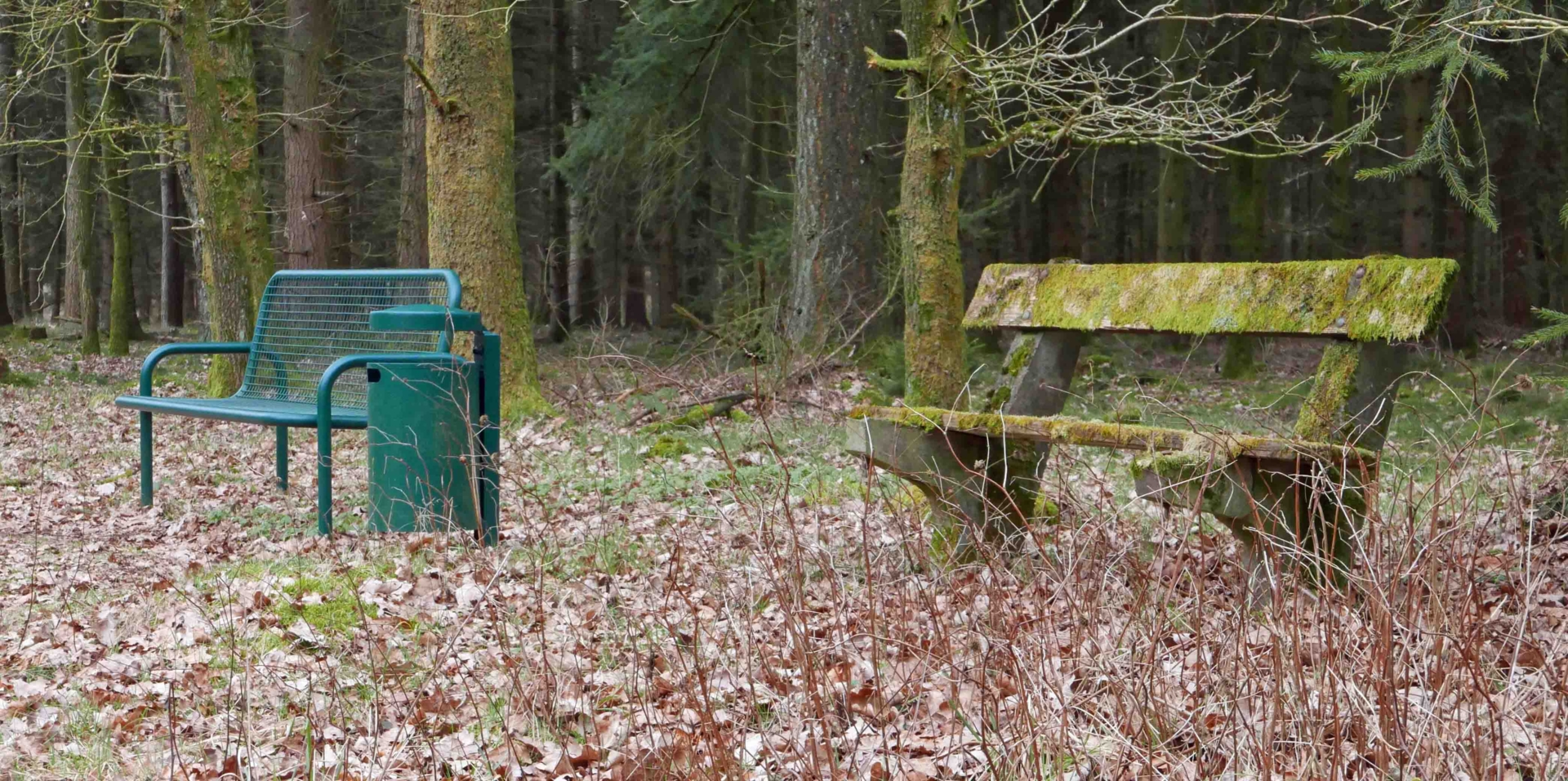 Zwei Bänke im Wald