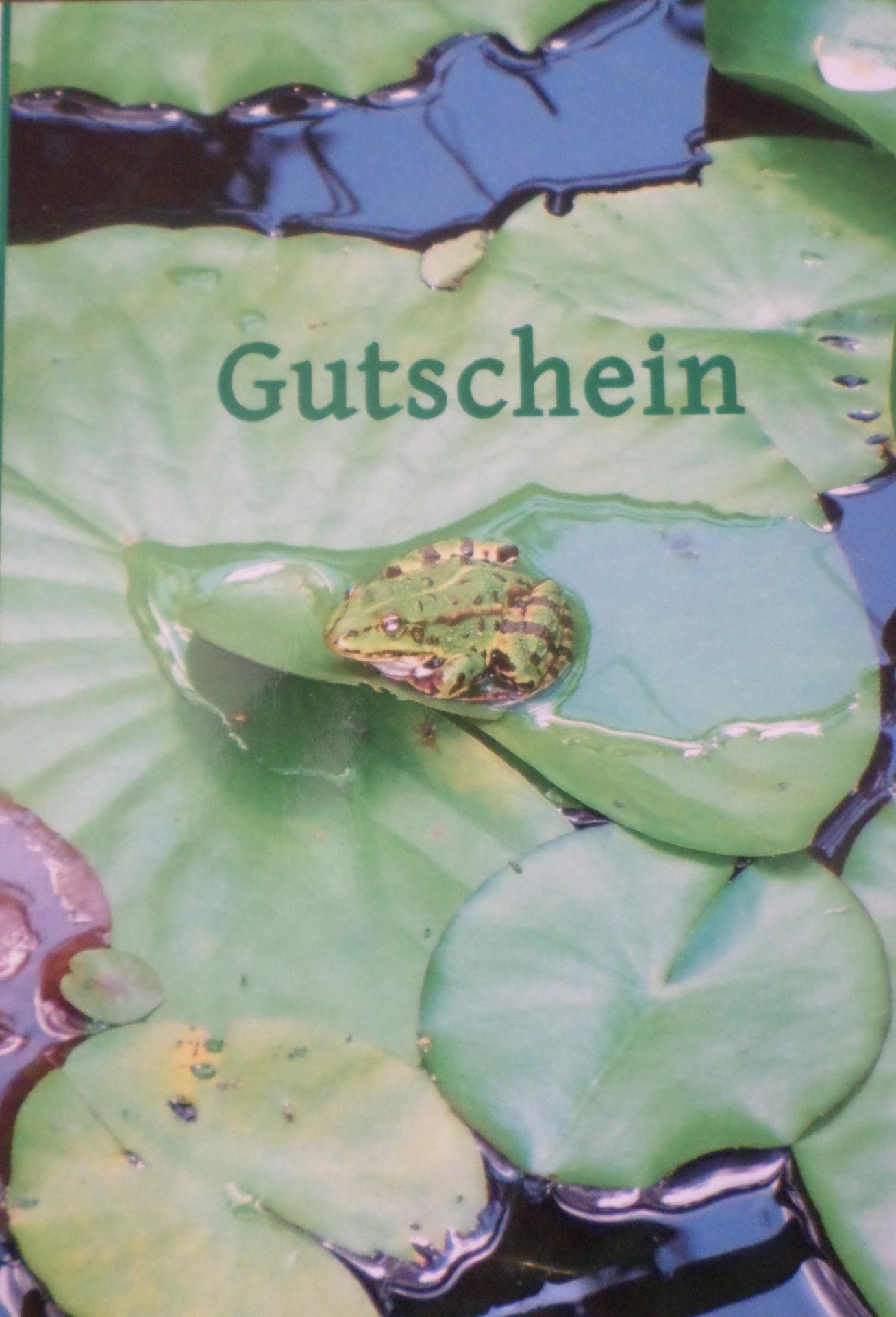 Gutschein-Frosch
