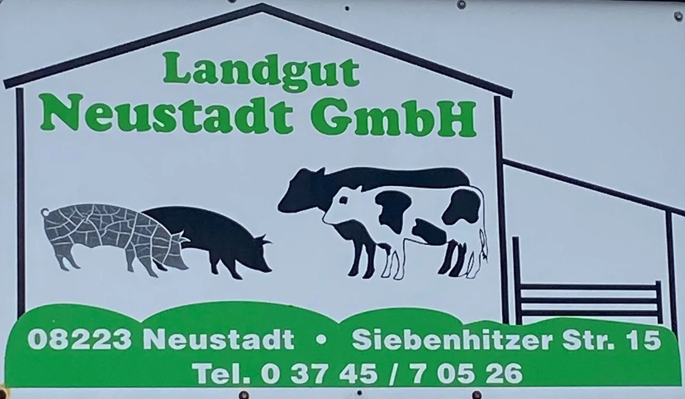 21431