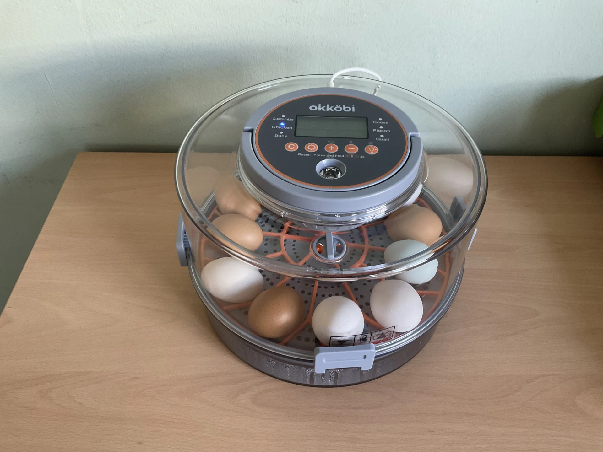 IMG_4041