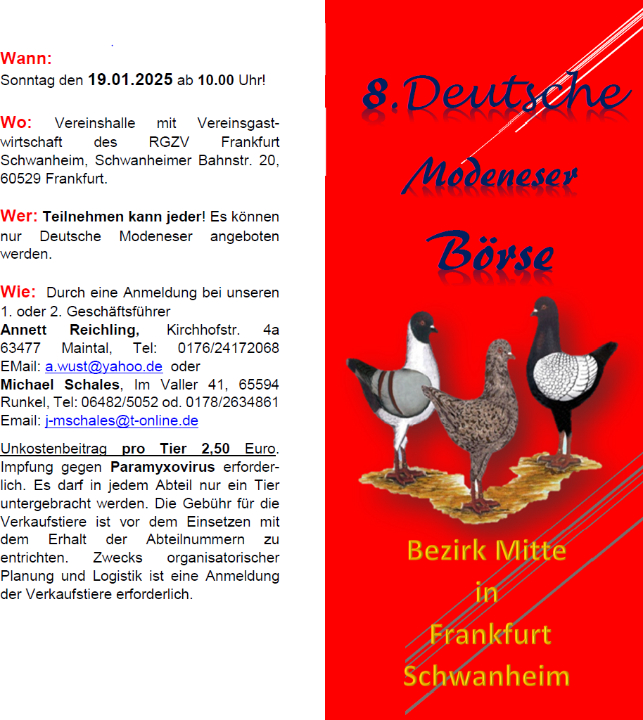 Flyer Börse 2025