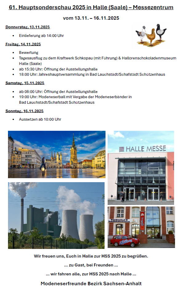 Infoblatt HSS 2025