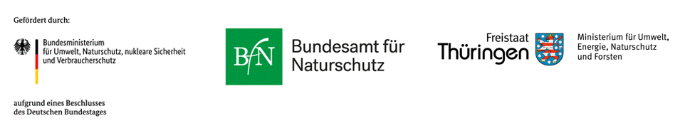 Logoleiste_BUNSV_BfN_TMUENF