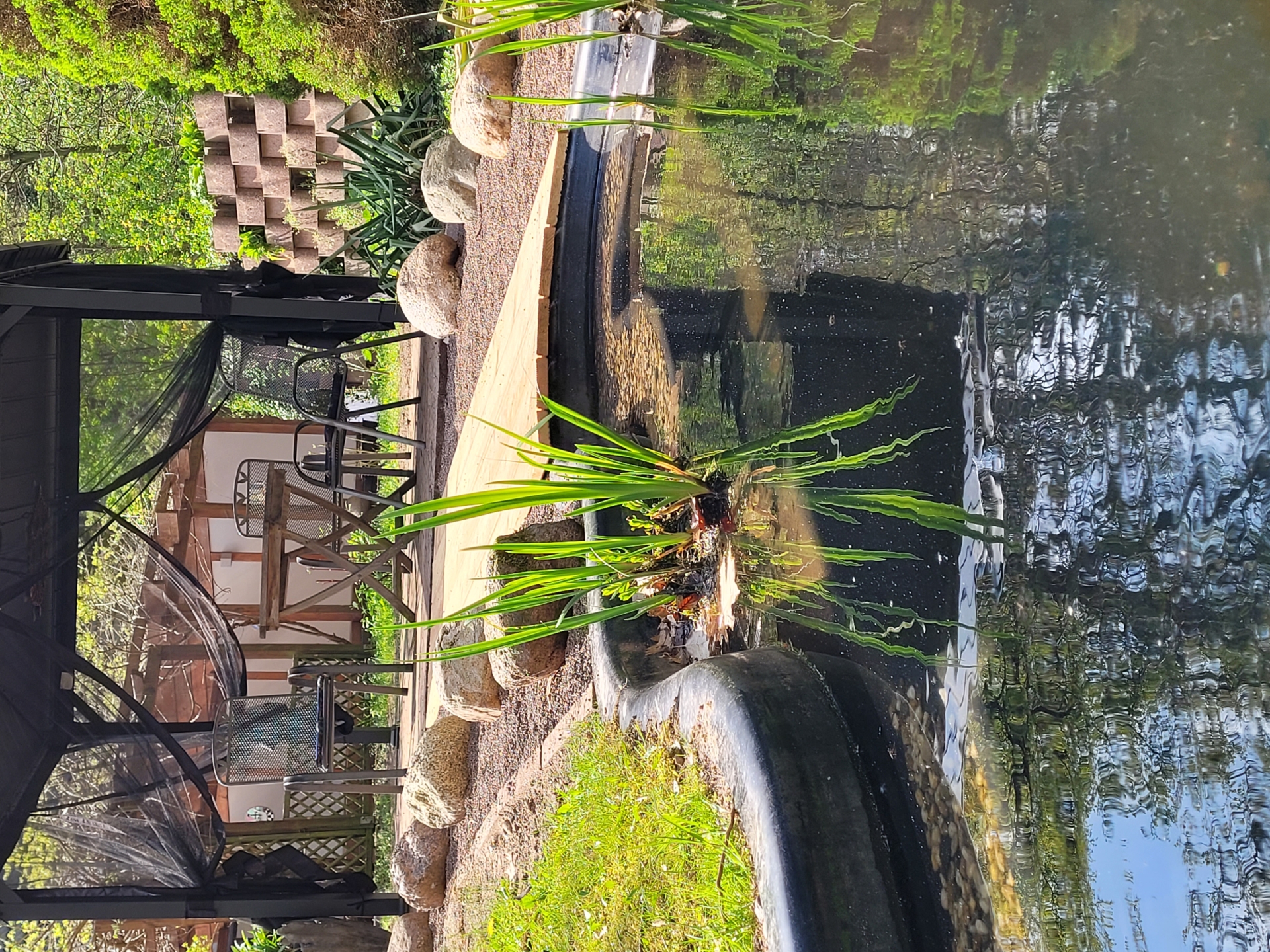 Urlaub mit Hunden Pfotenteich