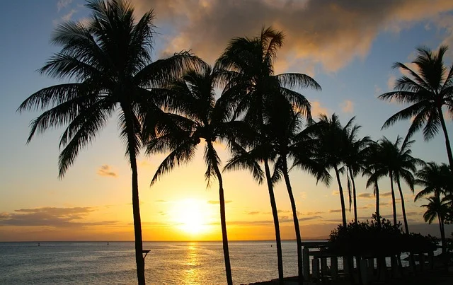 Waikiki