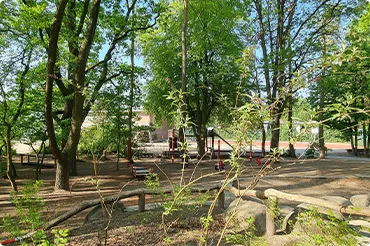 schulwald