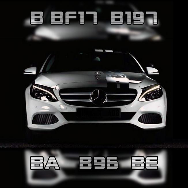 Fahrerlaubnisklasse B, BF17, B187, BA, B96 & BE