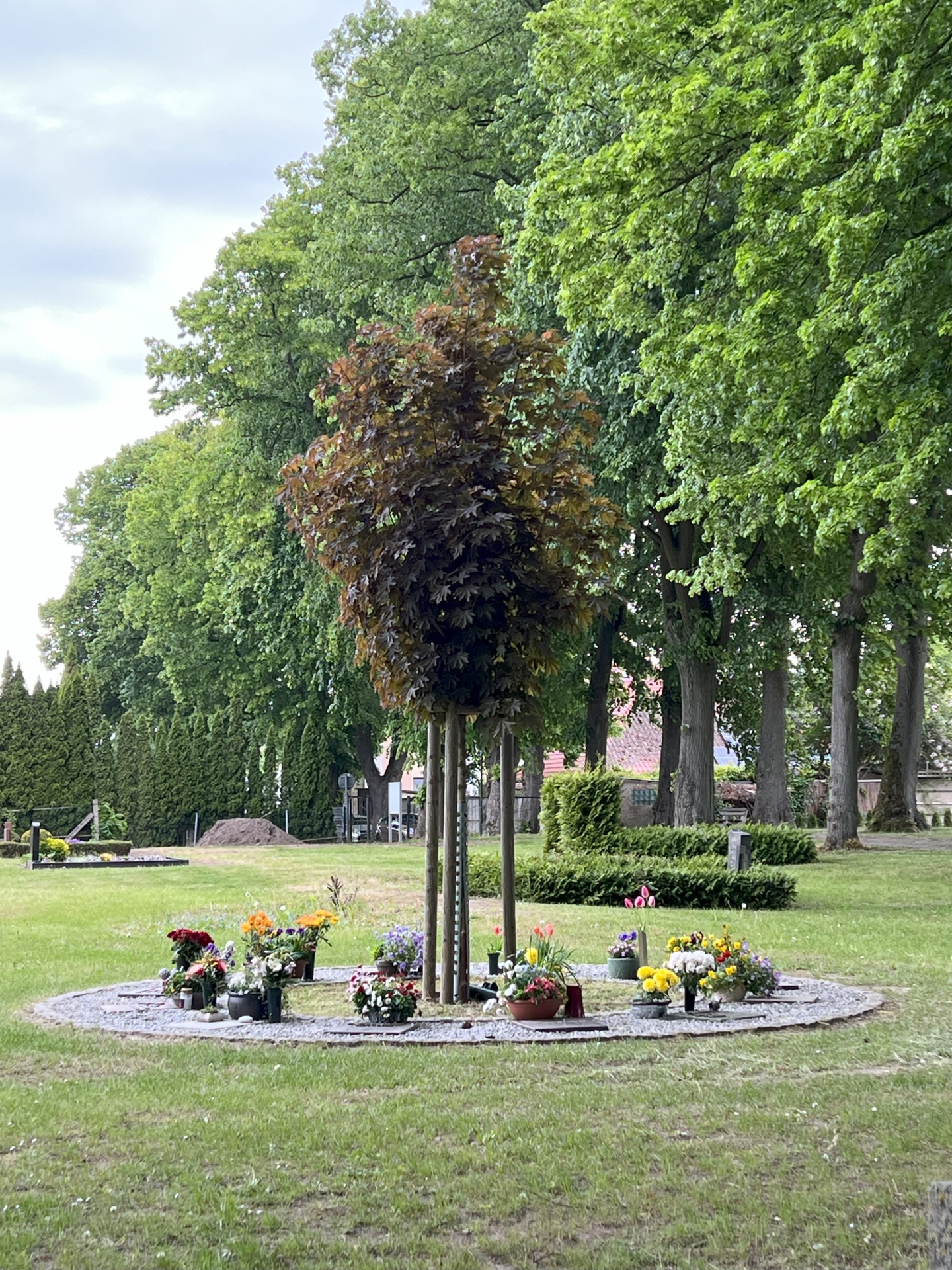Urnenbaumanlage Röbel