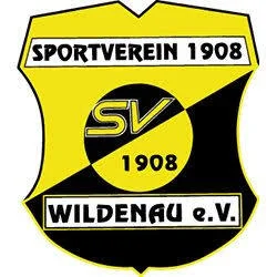 SV 08 Wildenau