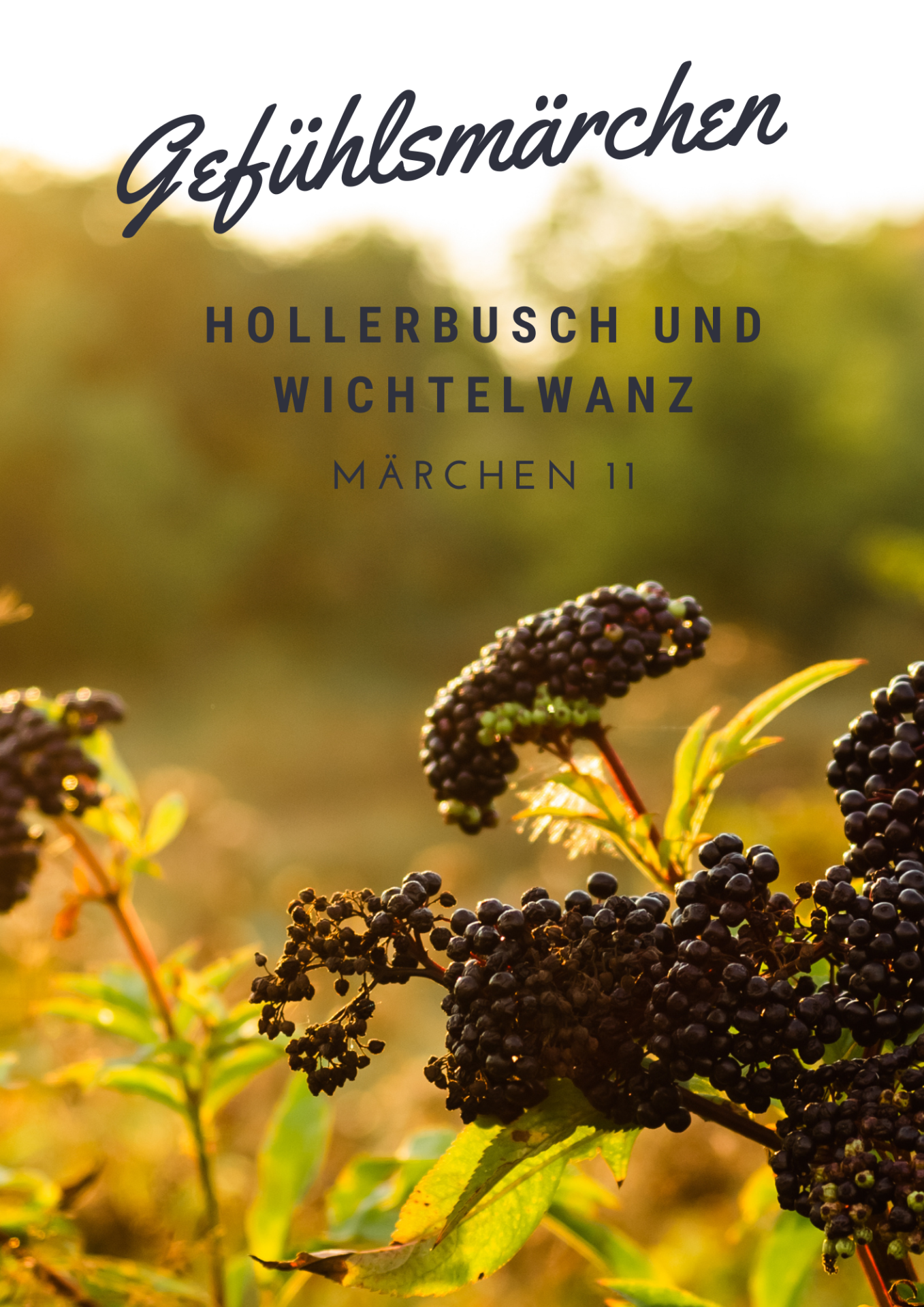 Gefühlsmärchen - Hollerbusch und Wichtelwanz