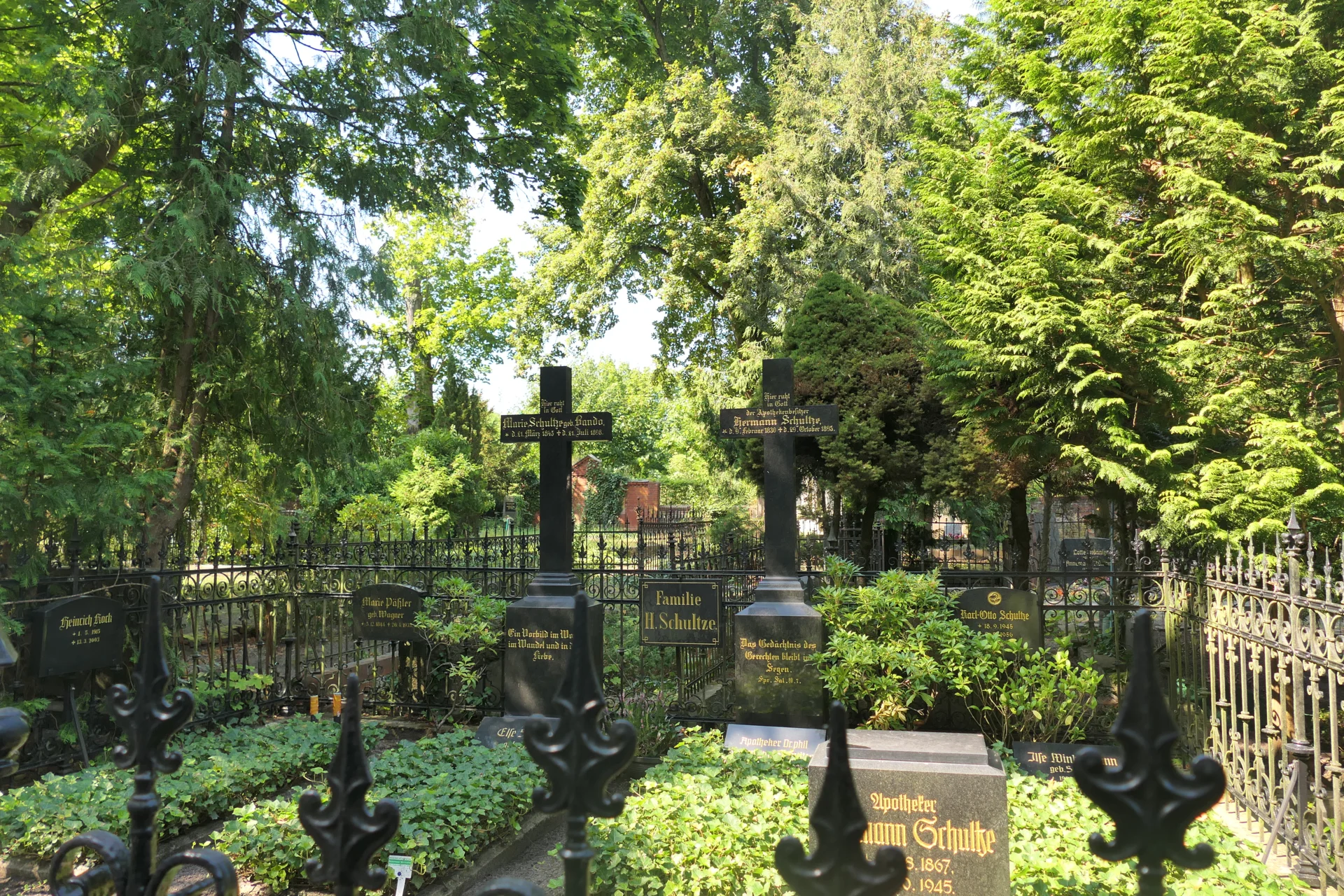 P1142973