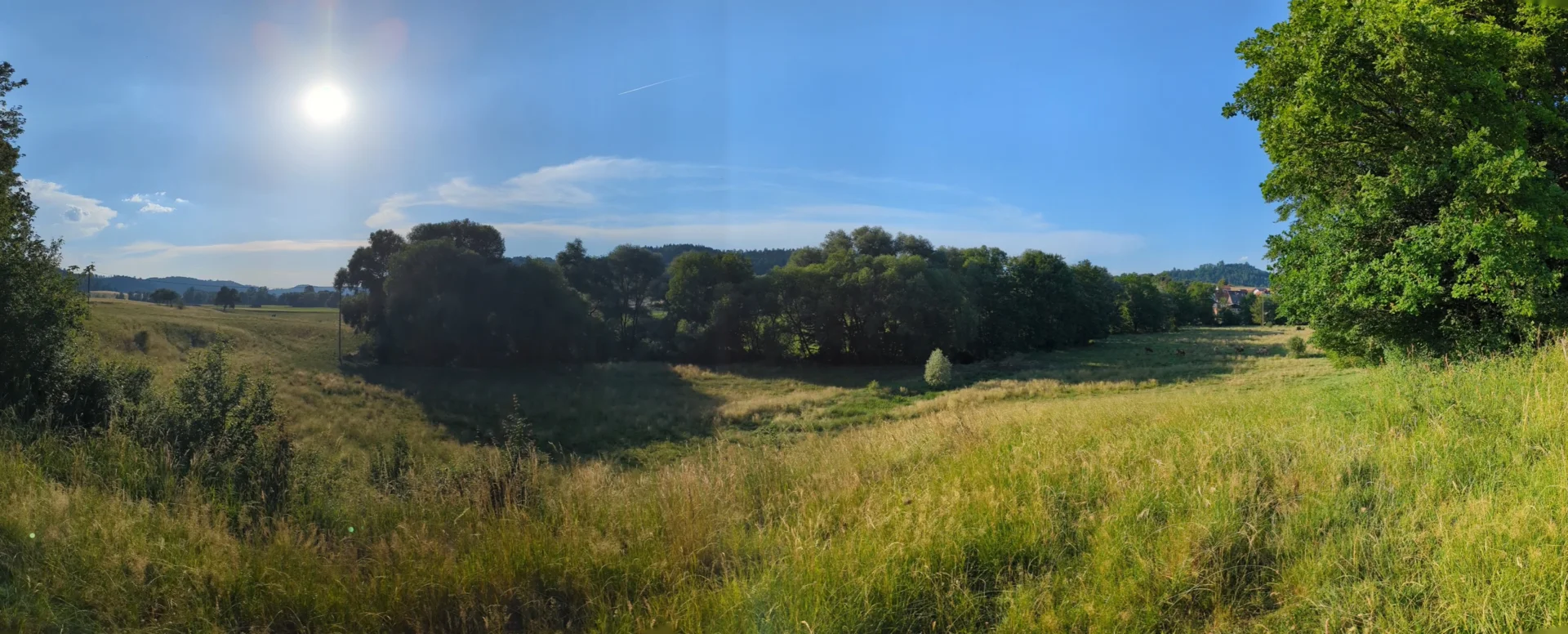Die Weide