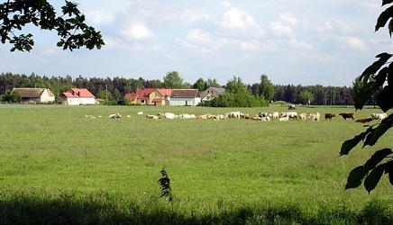 Landschaft von Trado