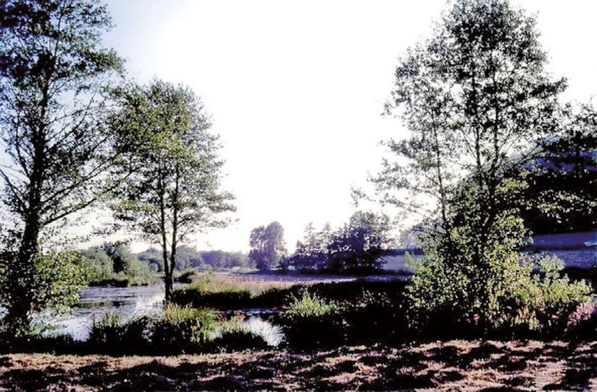 Wormsbrook