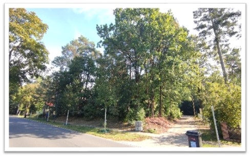 Neue Dorfstraße