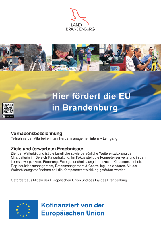 Nachweis Förderung