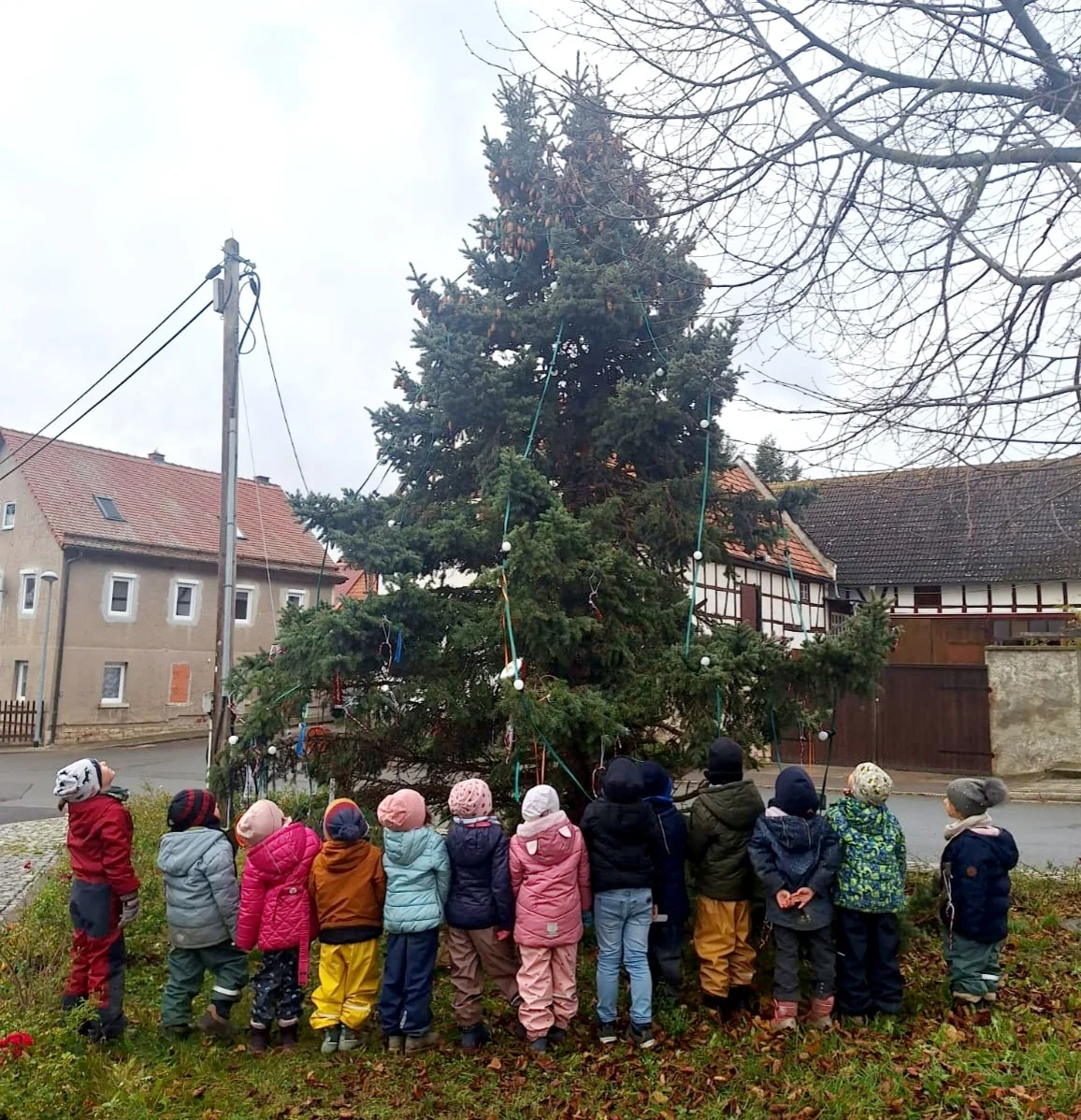 Weihnachtsbaum