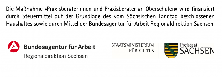 Praxisberater