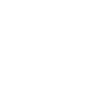 icon-wohnen