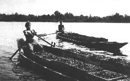 Bild von Pelose Boot
