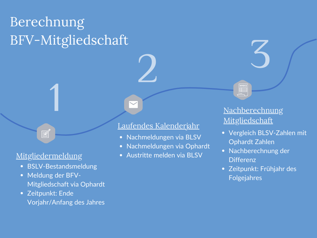 Prozess-Mitgliederberechnung