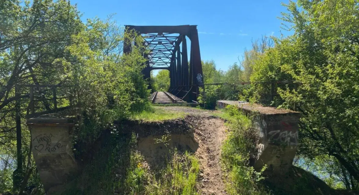 Die Eisenbahnbrücke über die Oder am Quellensumpfgebiet bei Oderberg