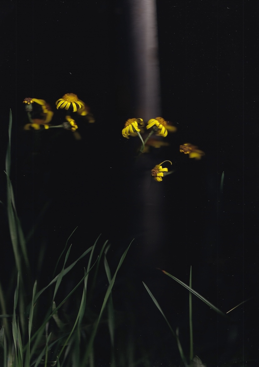 dark II, Pigmentdruck, 2022, 21 x 30 cm