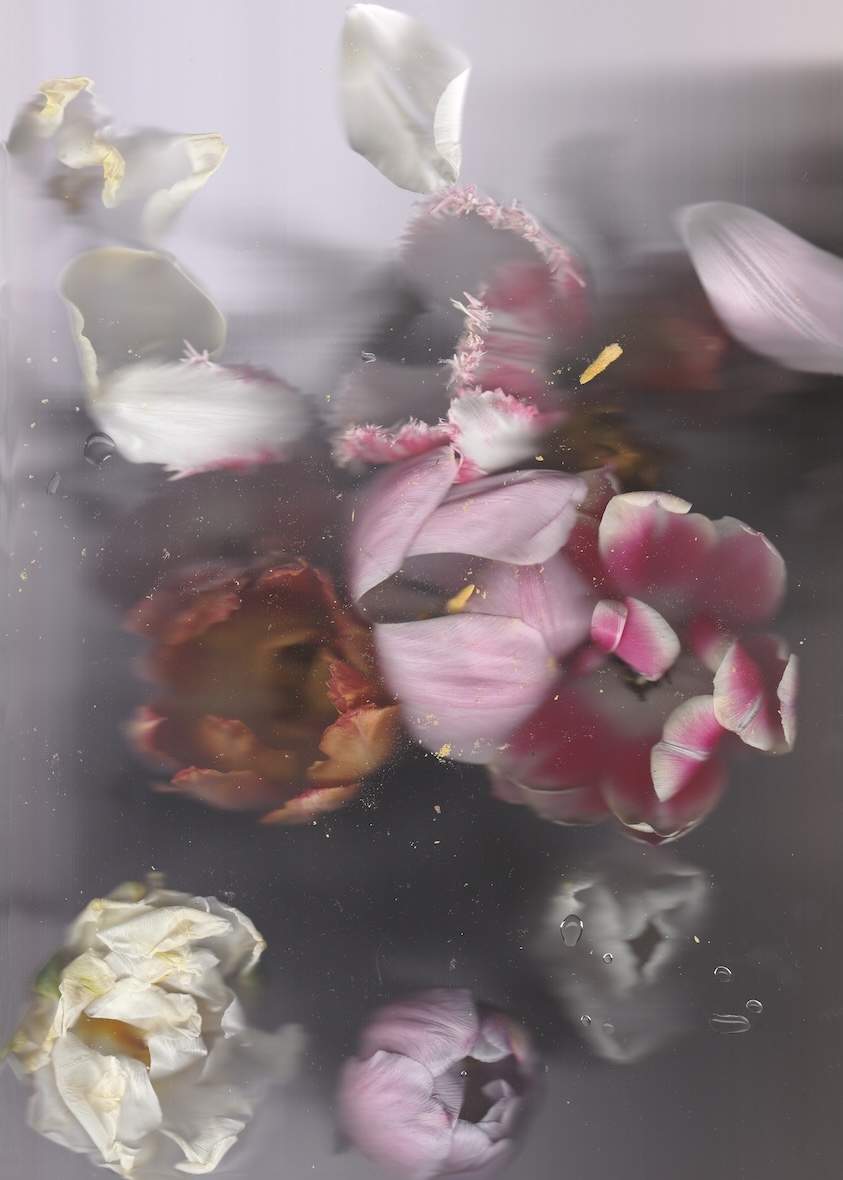 O. T., Pigmentdruck, 2022, 21 x 30 cm