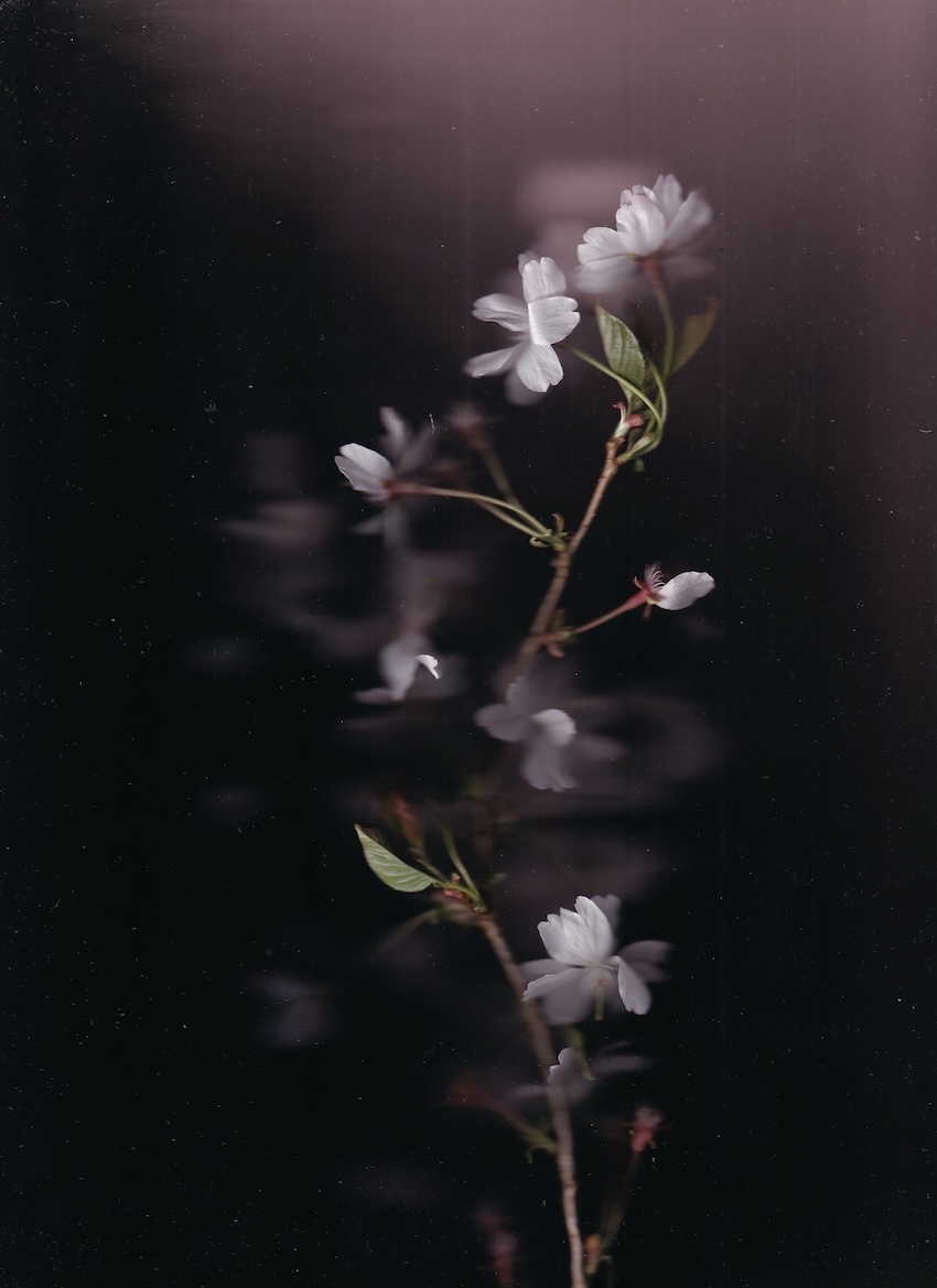 O. T., Pigmentdruck, 2025, 21 x 30 cm