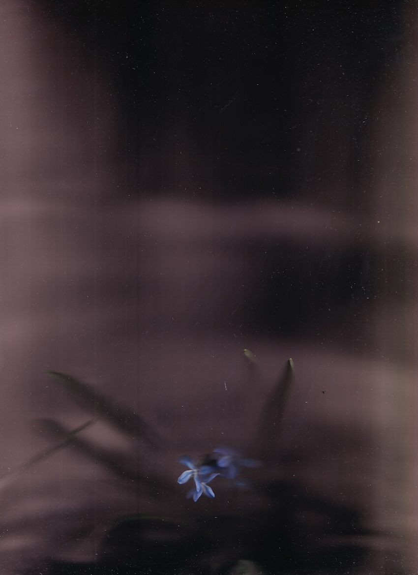 Schlaf V, Pigmentdruck, Serie 2024, 21 x 30 cm