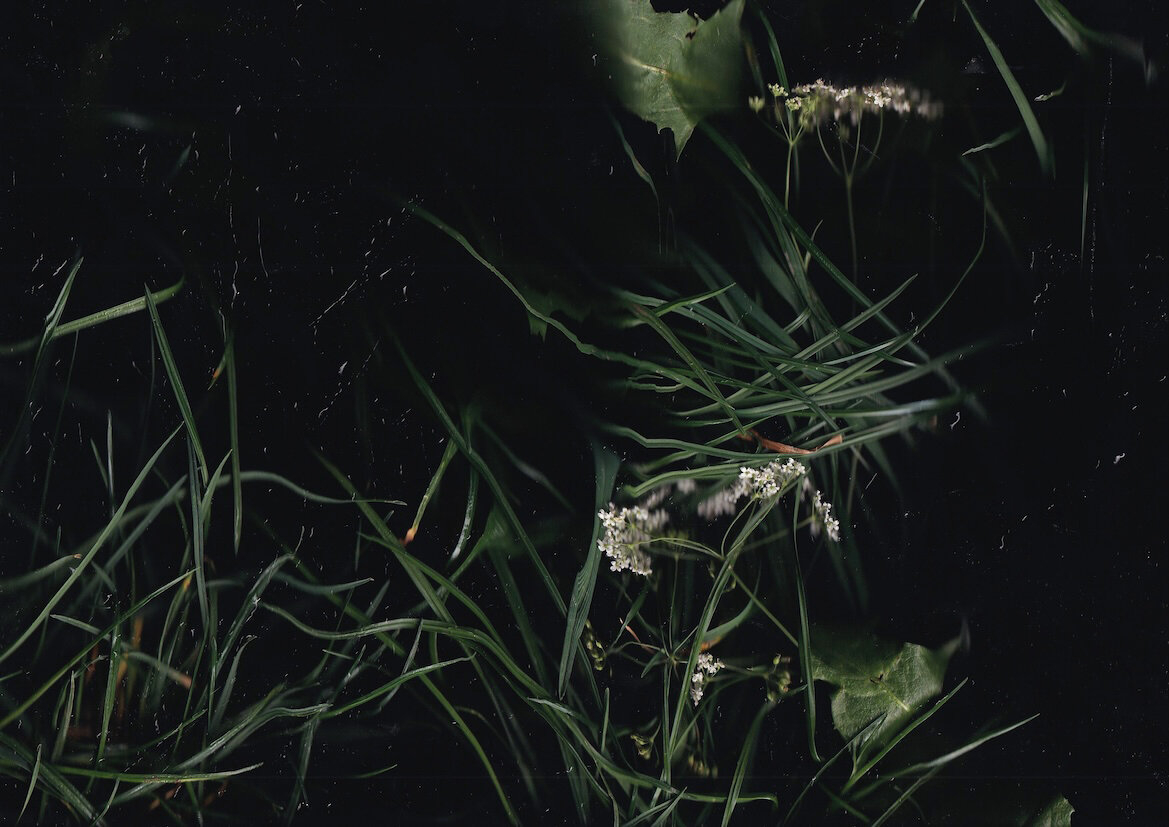 dark II, Serie, Pigmentdruck, 2024, 21 x 30 cm