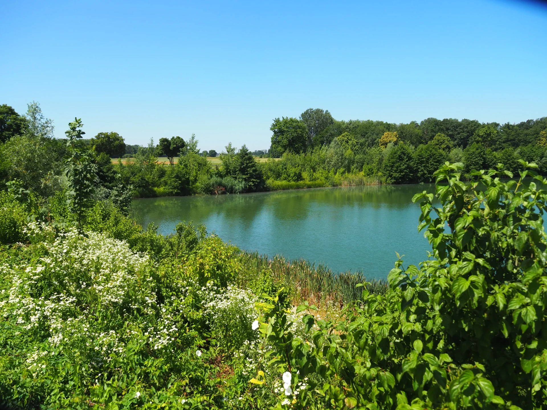 ARBEITSKREISE_Natur