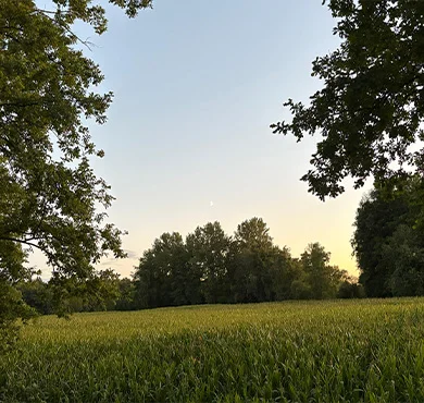 Willkommen