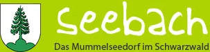 LoGo Seebach