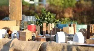 Sonniges Mistelfest in Oelknitz