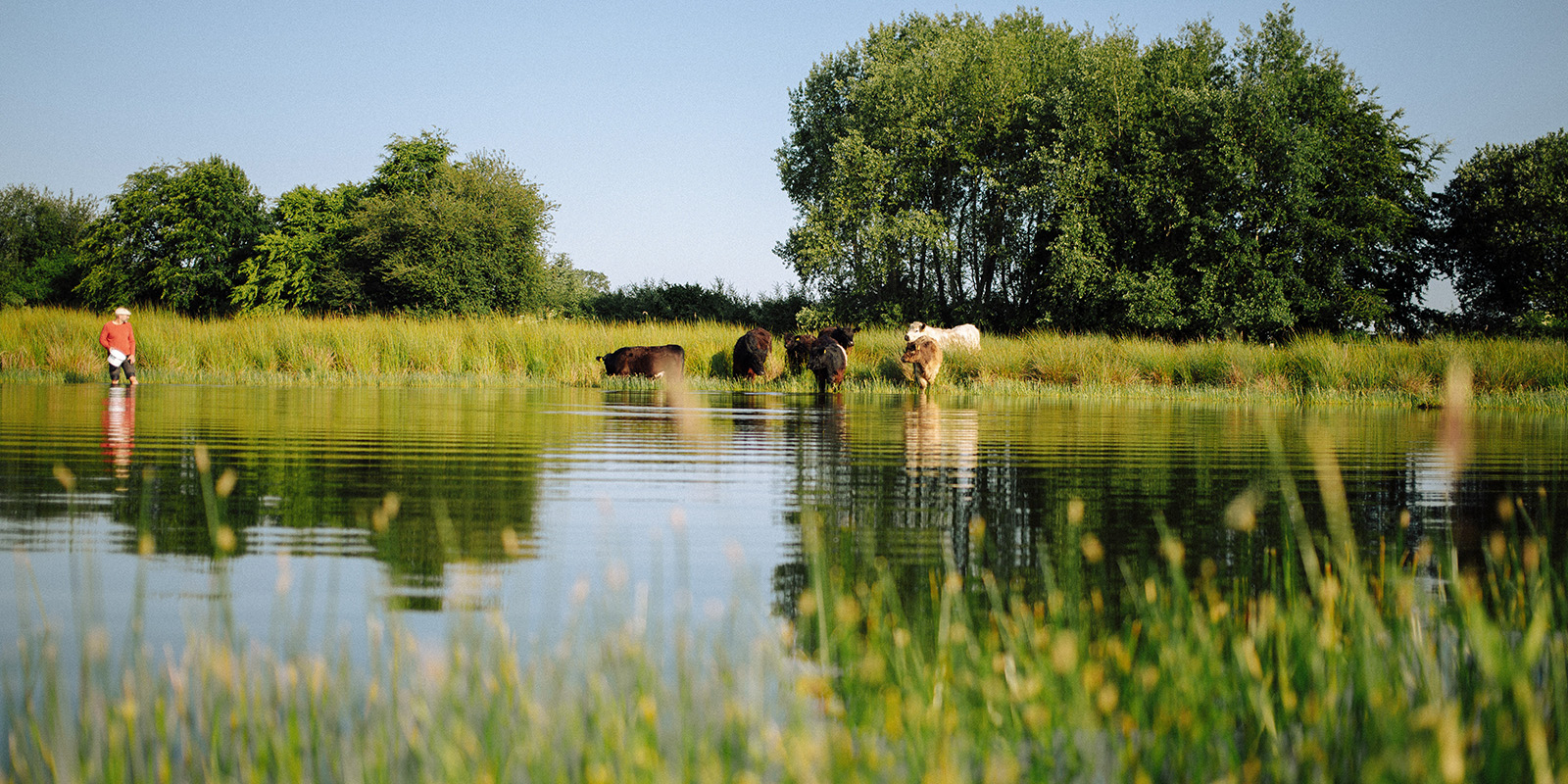 Vertragsnaturschutz Kasten-klein