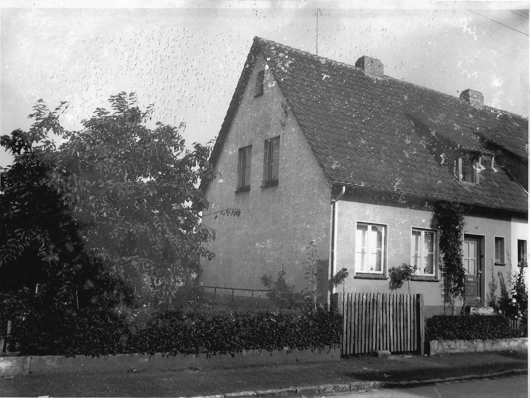Haus 1954