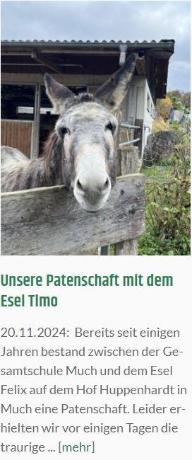 Esel Timo