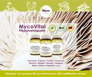 banner-myco-vital