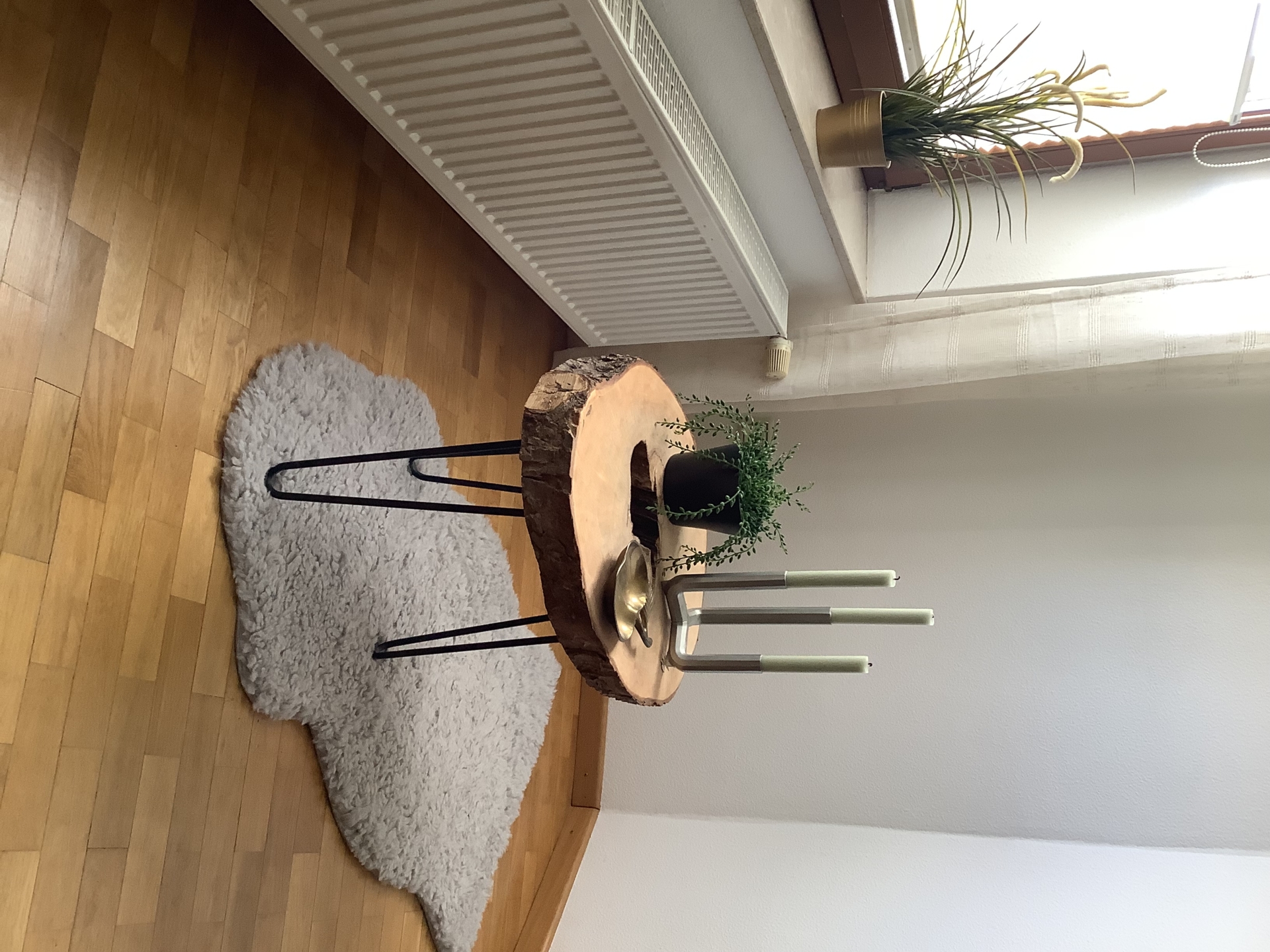 Tisch