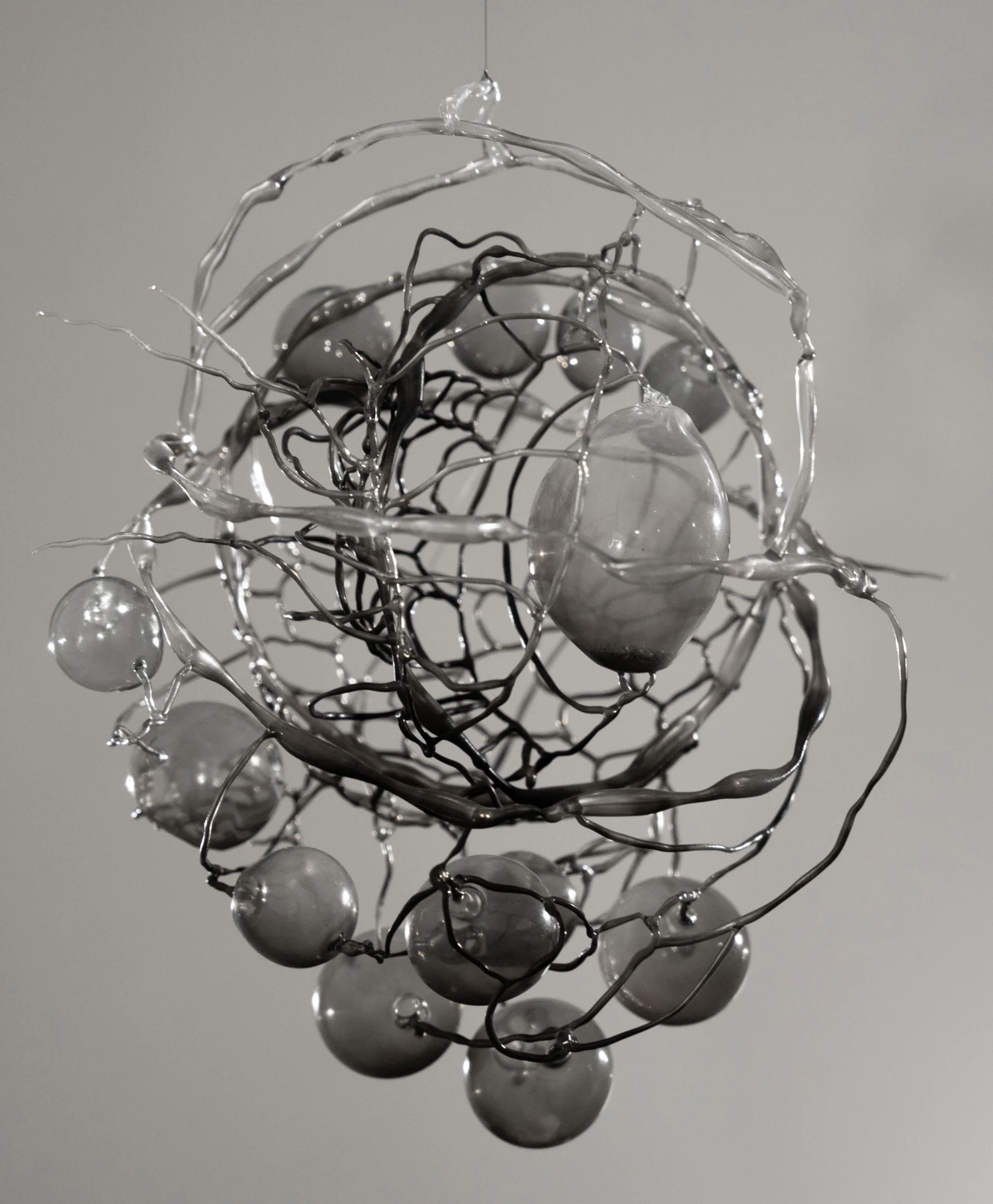 Luise von Cossart "Sternenfinder", 2026