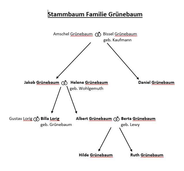 Stammbaum Familie Grünebaum