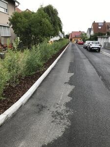 Dr.-Friedrich-Heß-Straße (2)