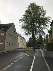 Richard-Wagner-Straße (2)